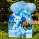 Flowerpot In Box With Animal Plushy
