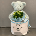 Kalanchoe plant with animal plushy in cloth storage box