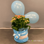Kalanchoe plant in handmade basket